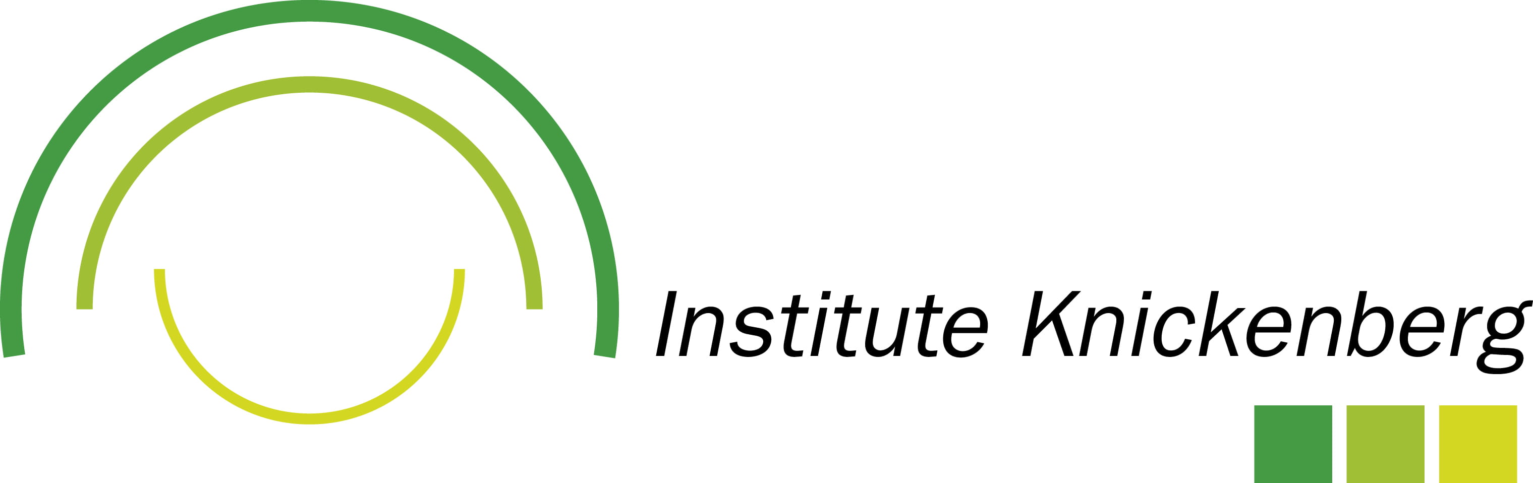 Institute Knickenberg Logo