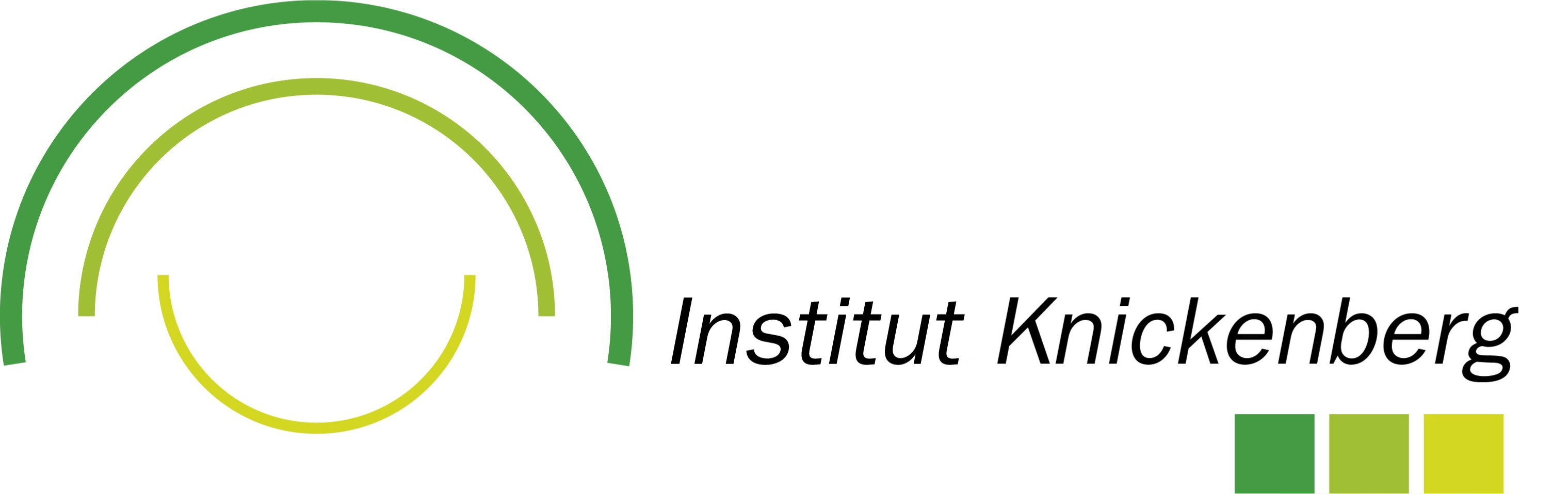 Institute Knickenberg Logo